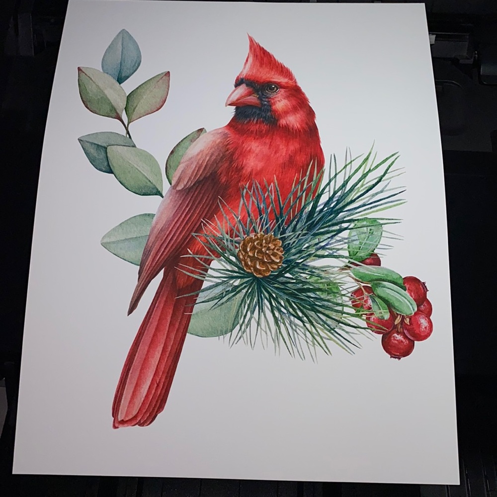 Watercolor Red Cardinal Wall Art Illustration Print Poster Unframed - Picture 11 of 14
